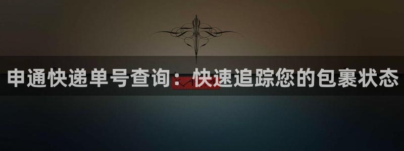 28圈軟件:申通快遞單號查詢:快速追