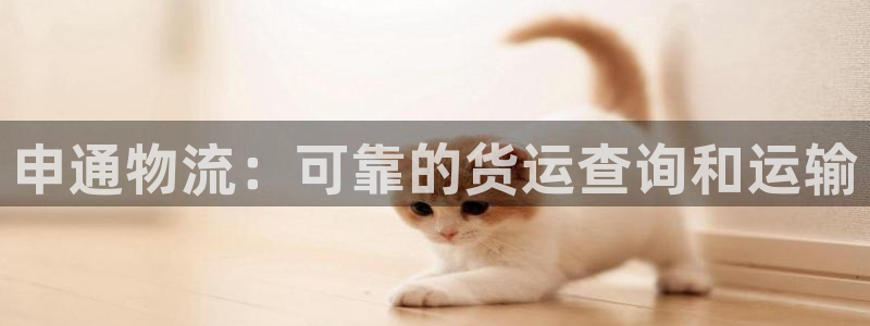 28圈怎么注冊賬號和密碼