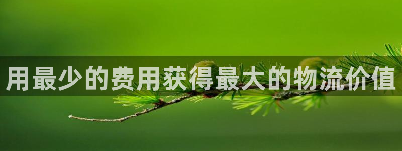 28圈連輸10天:用最少的費用獲得最