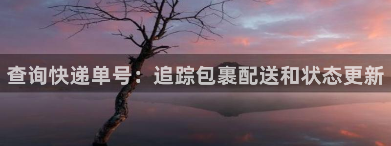 28圈注冊限制怎么解除:查詢快遞單號