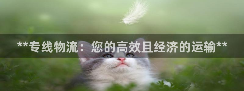 28圈賭博軟件正規嗎