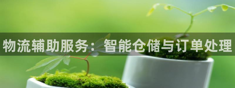 28圈怎么申請代理