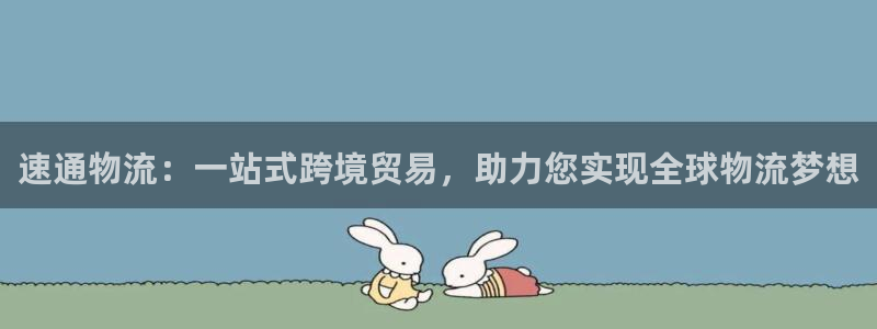 28圈犯法嗎:速通物流:一站式跨境貿