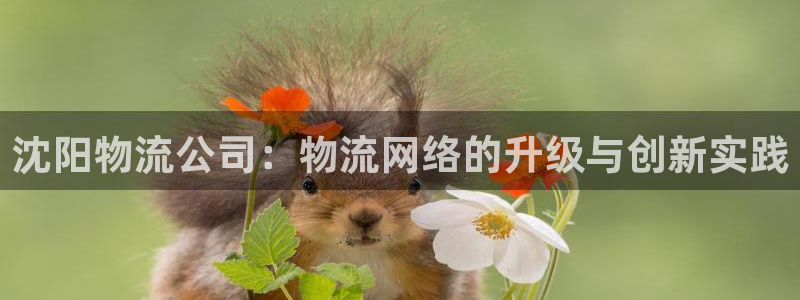 28圈.ccmpc29官網(wǎng)版