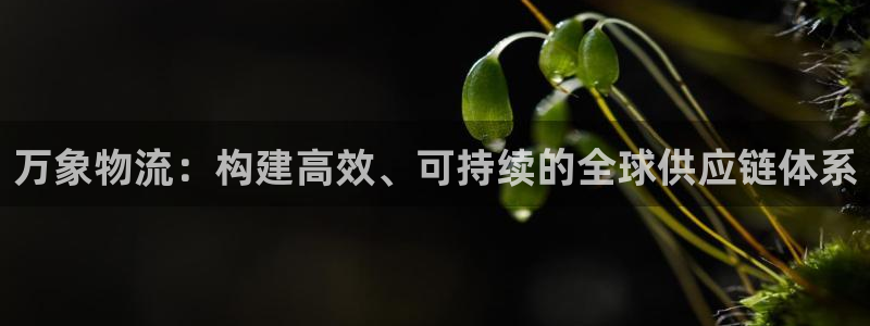 28圈怎么注冊游戲名字:萬象物流:構