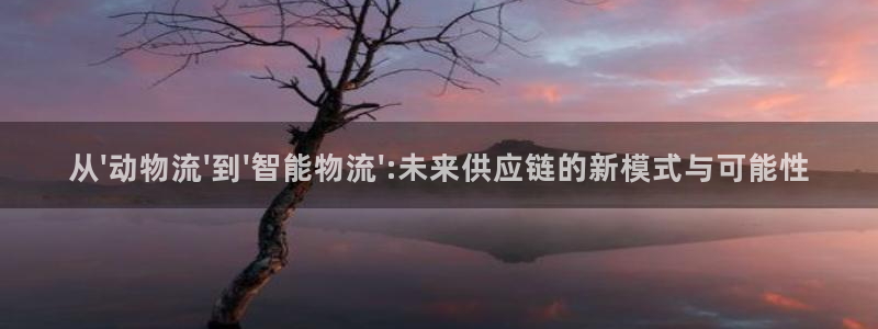 28圈注冊送：從\'動物流\'到\'