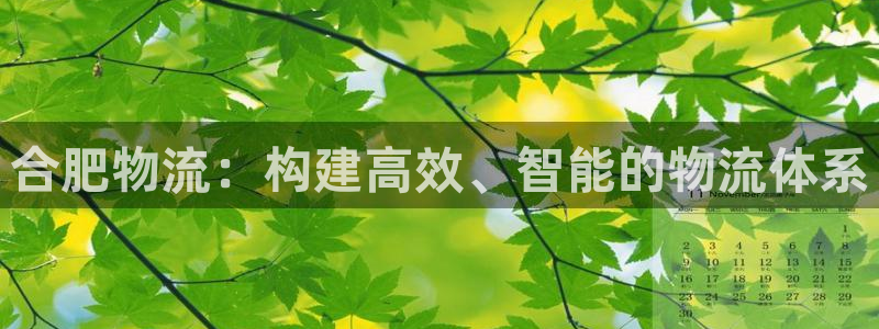 加拿大28圈數字規則