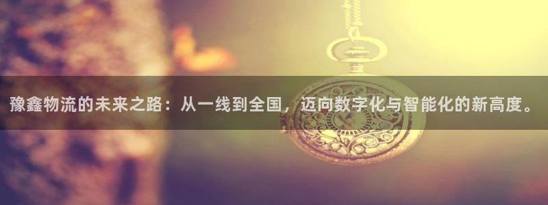 28圈退款:豫鑫物流的未來之路:從一