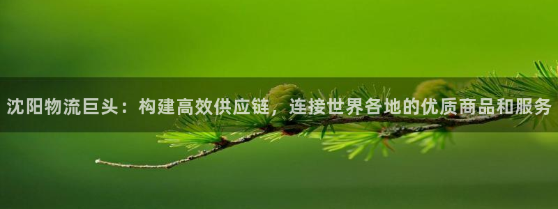 28圈圖片：沈陽物流巨頭：構建高效供