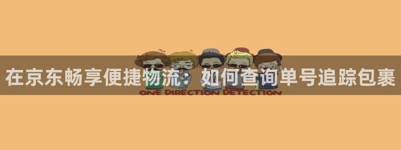 28圈口:在京東暢享便捷物流:如何查